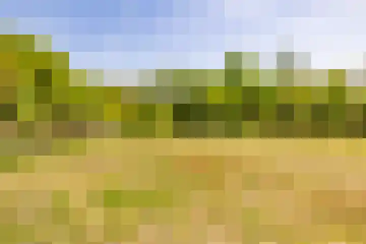 Het Hooge Veld 5 Zuidwolde thumbnail 39