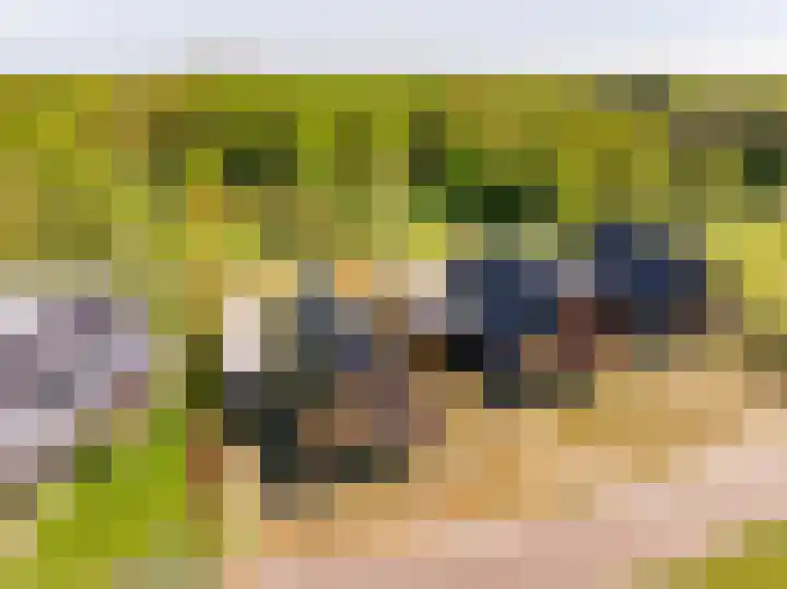 Het Hooge Veld 5 Zuidwolde thumbnail 4