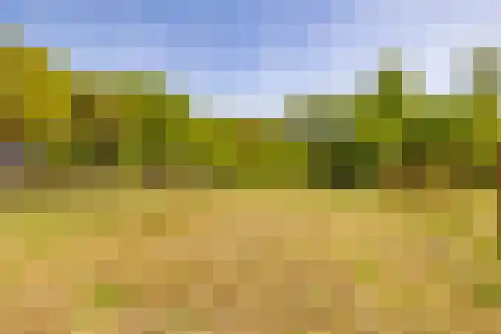 Het Hooge Veld 5 Zuidwolde thumbnail 40
