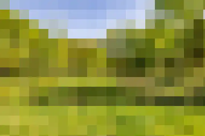 Het Hooge Veld 5 Zuidwolde thumbnail 41