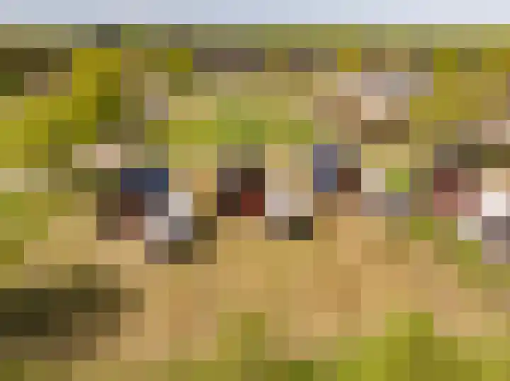 Het Hooge Veld 5 Zuidwolde thumbnail 46