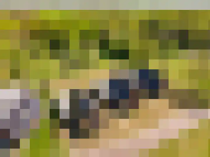 Het Hooge Veld 5 Zuidwolde thumbnail 47
