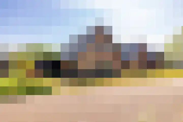 Het Hooge Veld 5 Zuidwolde thumbnail 49