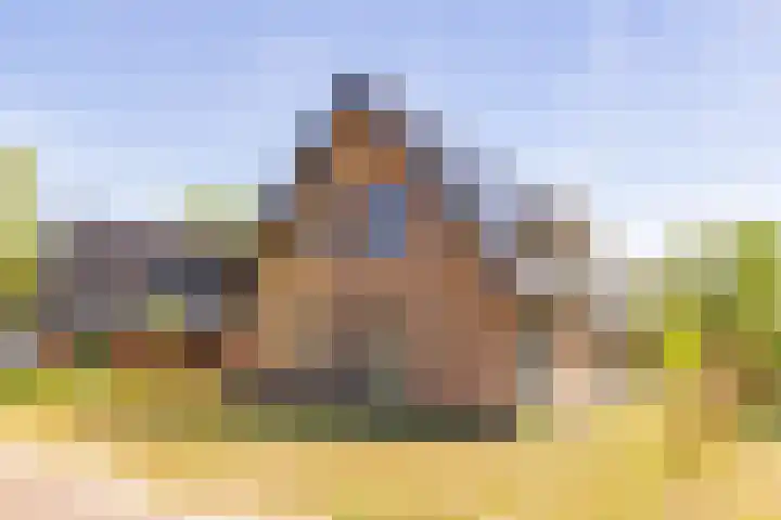 Het Hooge Veld 5 Zuidwolde thumbnail 5