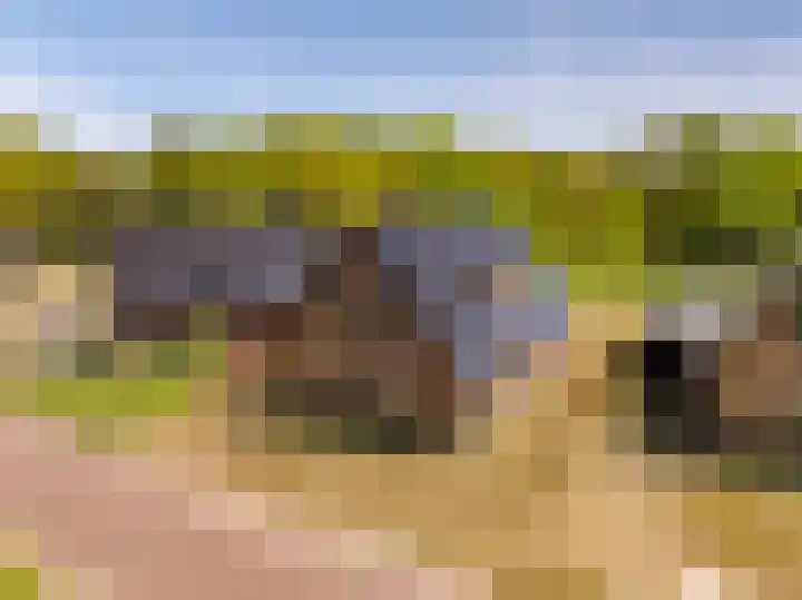 Het Hooge Veld 5 Zuidwolde thumbnail 51