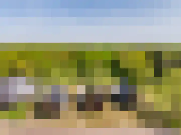 Het Hooge Veld 5 Zuidwolde thumbnail 53