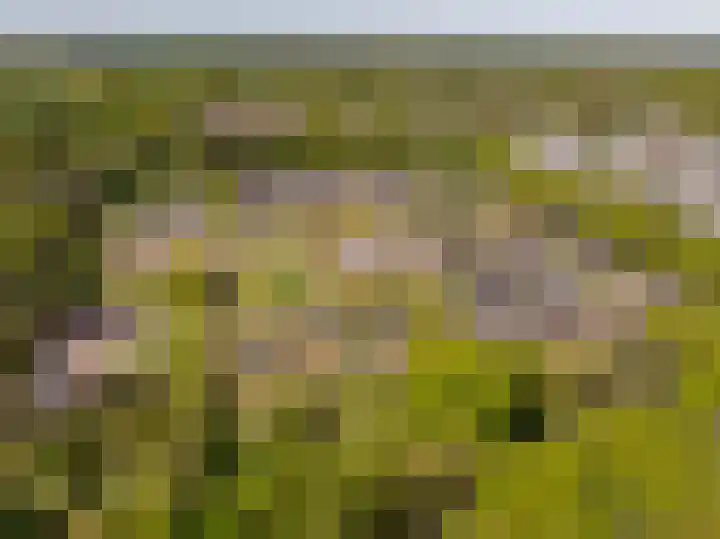 Het Hooge Veld 5 Zuidwolde thumbnail 54