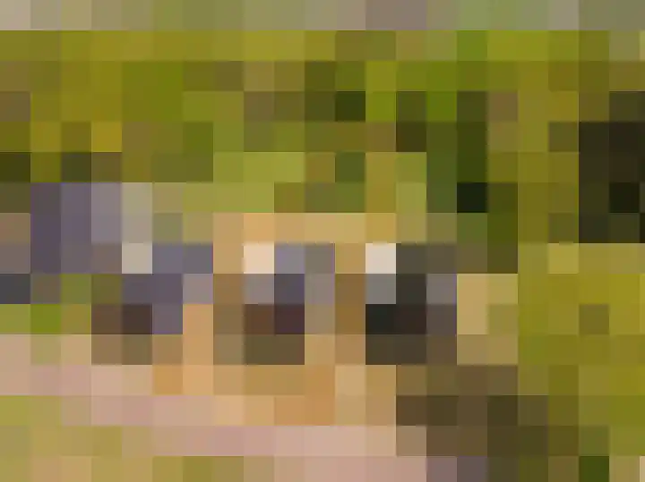 Het Hooge Veld 7 Zuidwolde thumbnail 4