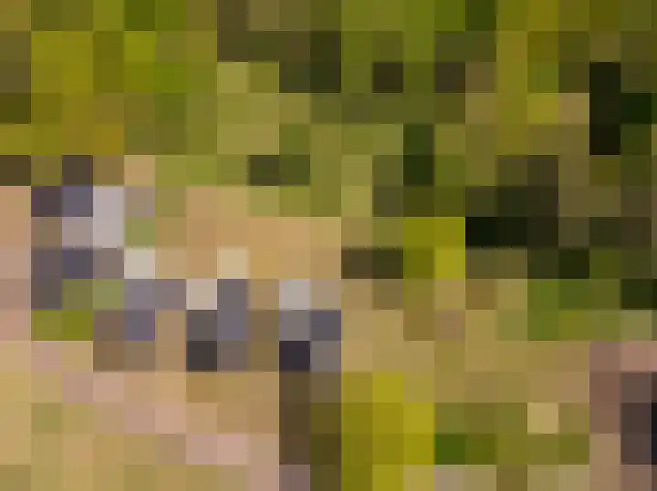 Het Hooge Veld 7 Zuidwolde thumbnail 40