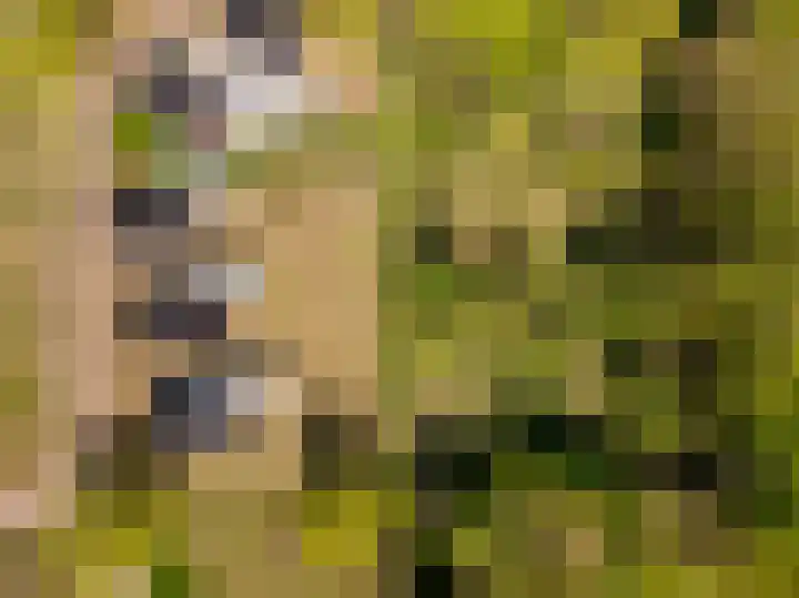 Het Hooge Veld 7 Zuidwolde thumbnail 41