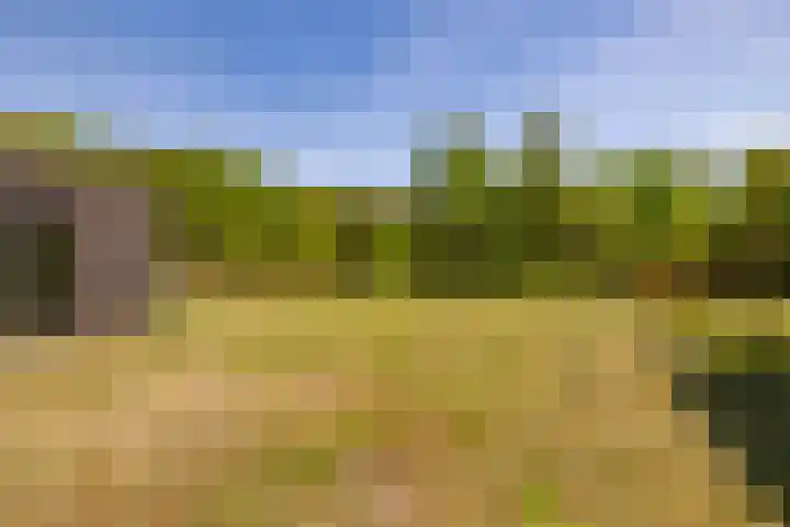 Het Hooge Veld 7 Zuidwolde thumbnail 44