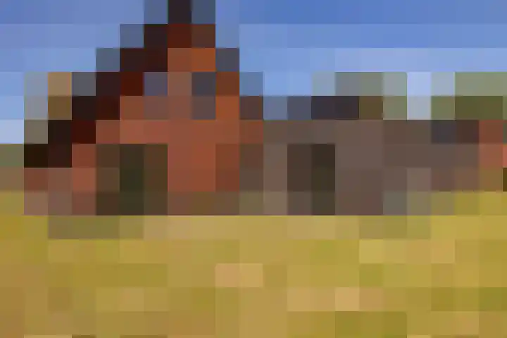 Het Hooge Veld 7 Zuidwolde thumbnail 45