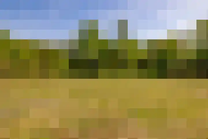 Het Hooge Veld 7 Zuidwolde thumbnail 46