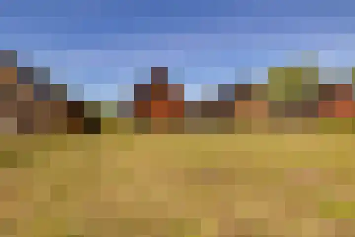 Het Hooge Veld 7 Zuidwolde thumbnail 47