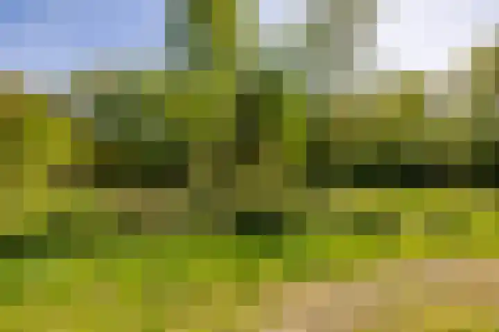 Het Hooge Veld 7 Zuidwolde thumbnail 48