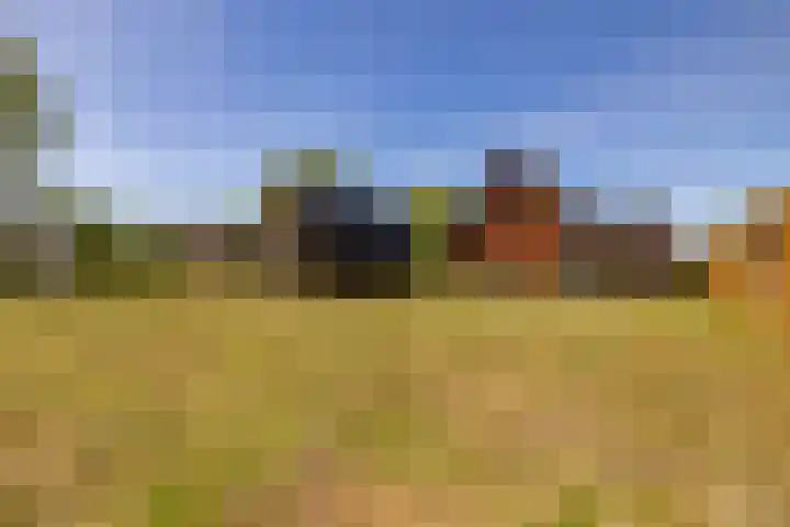Het Hooge Veld 7 Zuidwolde thumbnail 52