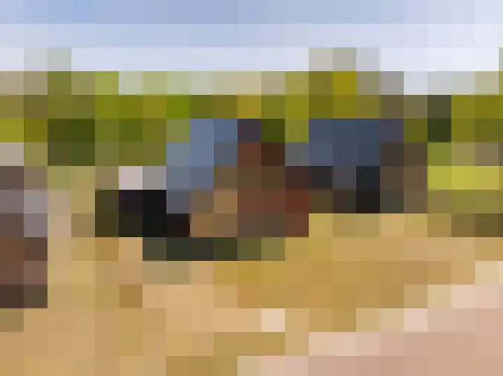 Het Hooge Veld 7 Zuidwolde thumbnail 55