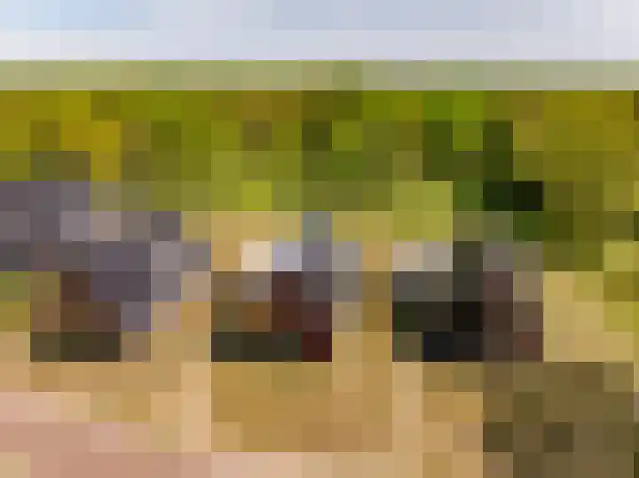 Het Hooge Veld 7 Zuidwolde thumbnail 58