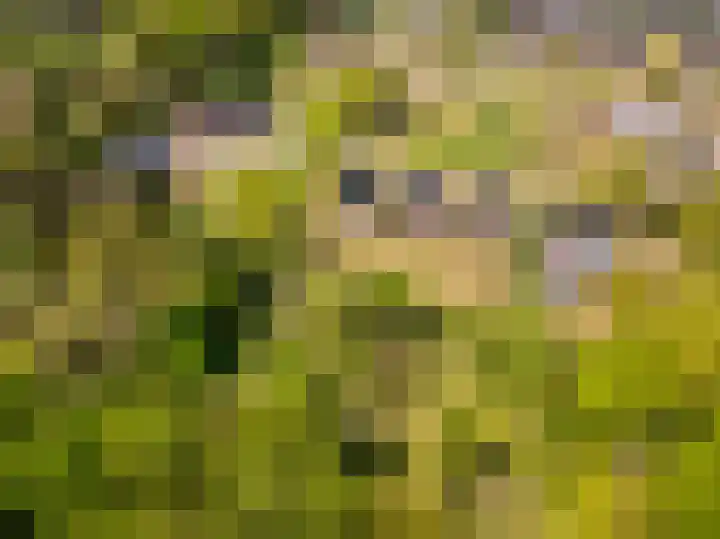 Het Hooge Veld 7 Zuidwolde thumbnail 60