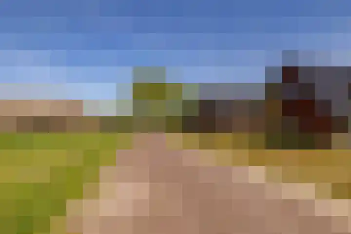 Het Hooge Veld 7 Zuidwolde thumbnail 62