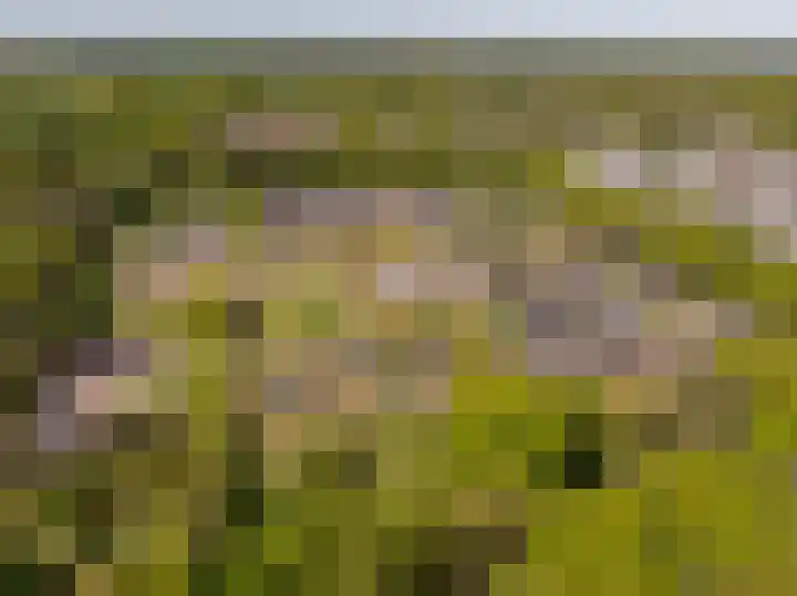 Het Hooge Veld 7 Zuidwolde thumbnail 63
