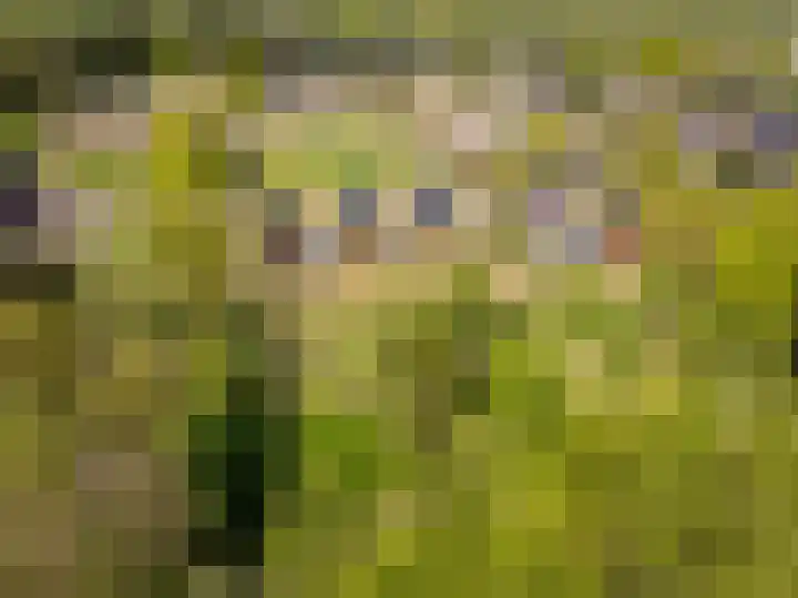 Het Hooge Veld 9 Zuidwolde thumbnail 41