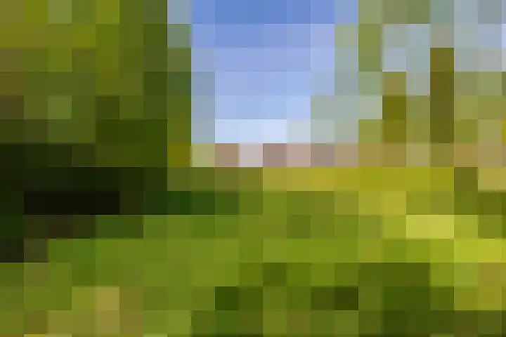 Het Hooge Veld 9 Zuidwolde thumbnail 47