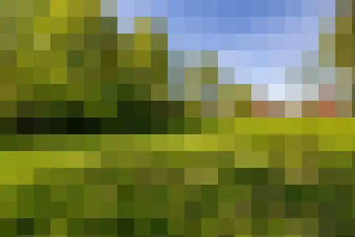 Het Hooge Veld 9 Zuidwolde thumbnail 48