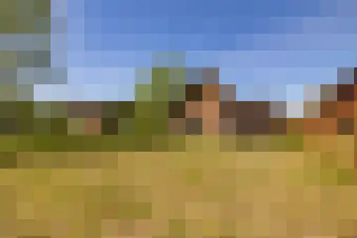 Het Hooge Veld 9 Zuidwolde thumbnail 49