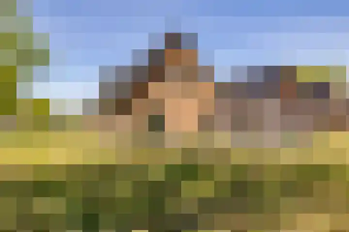 Het Hooge Veld 9 Zuidwolde thumbnail 50
