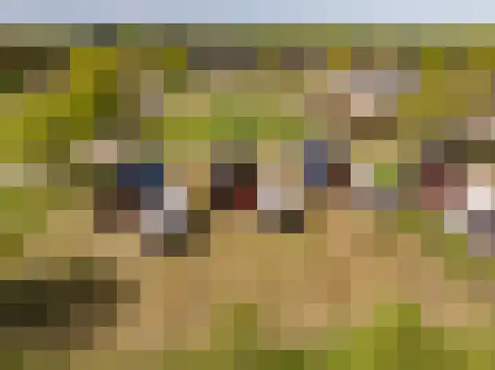 Het Hooge Veld 9 Zuidwolde thumbnail 52