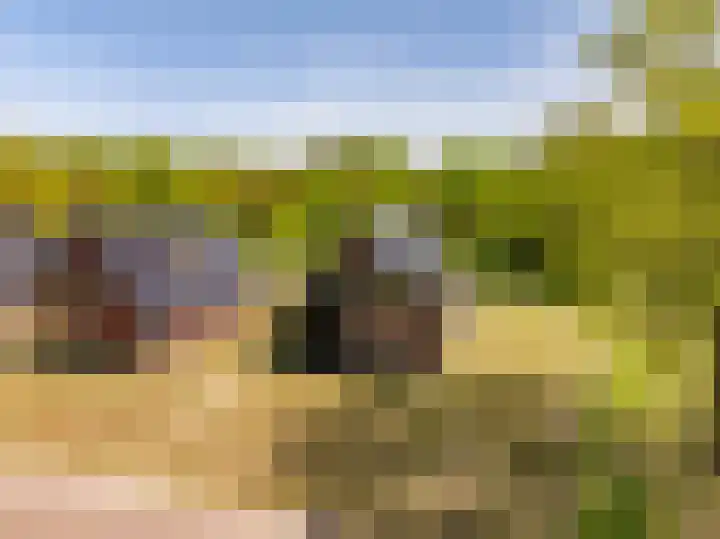 Het Hooge Veld 9 Zuidwolde thumbnail 53