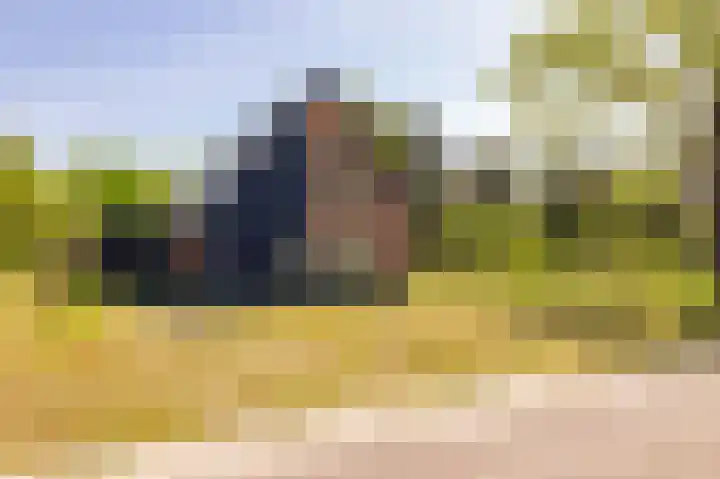 Het Hooge Veld 9 Zuidwolde thumbnail 55