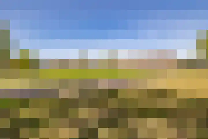 Het Hooge Veld 9 Zuidwolde thumbnail 57