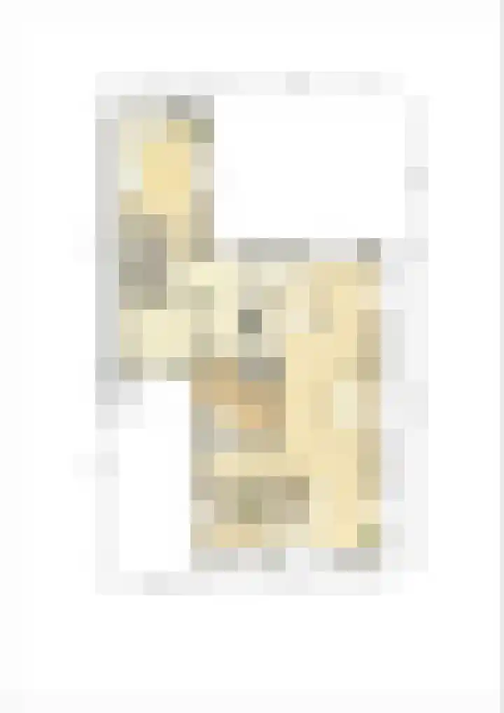 Het Hooge Veld 9 Zuidwolde thumbnail 61