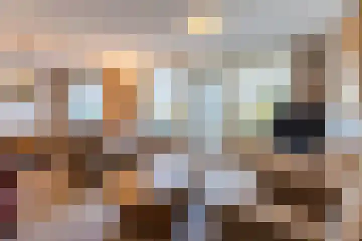 het Hooghuis 6 Geldrop thumbnail 14