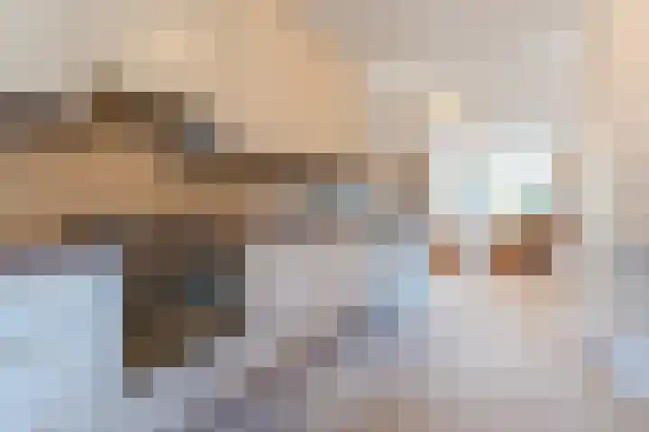 het Hooghuis 6 Geldrop thumbnail 23