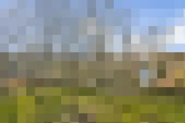 Het Hoogt 164 Amsterdam thumbnail 15
