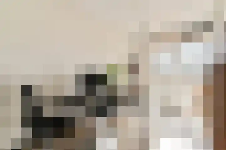 Het Hoogt 164 Amsterdam thumbnail 20