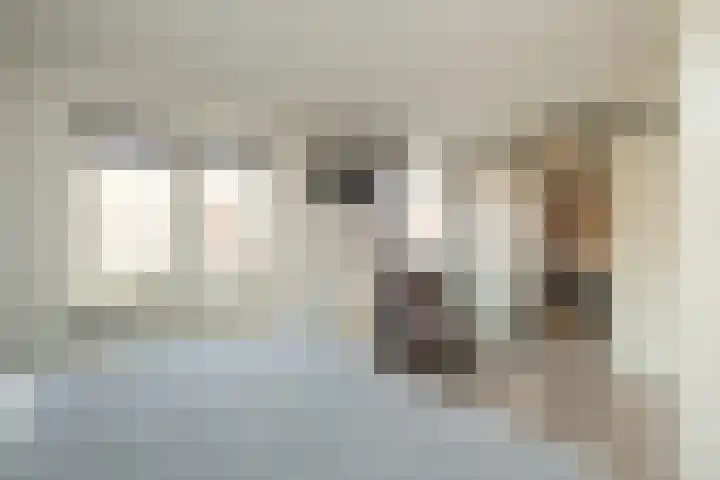 Het Hoogt 164 Amsterdam thumbnail 22