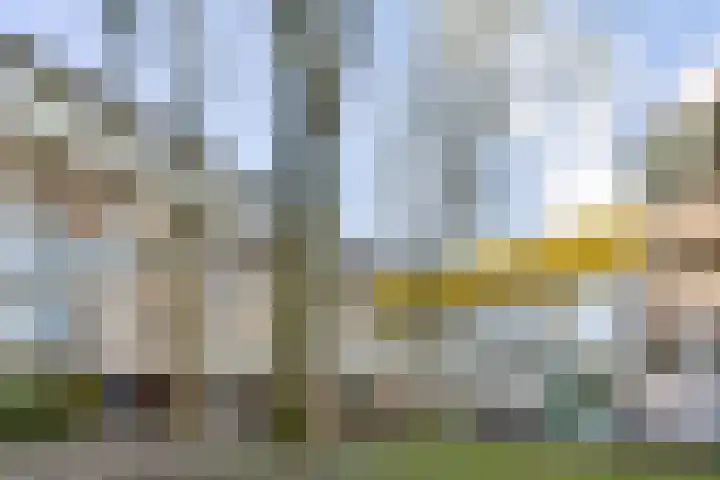 Het Hoogt 164 Amsterdam thumbnail 24