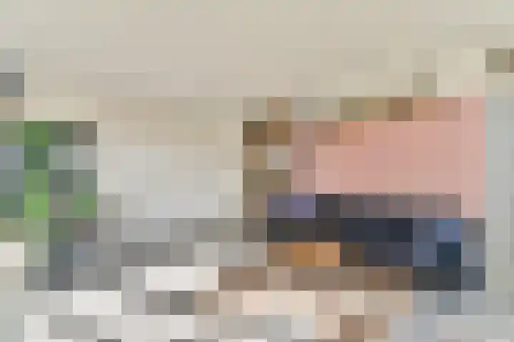 Het Hoogt 164 Amsterdam thumbnail 8