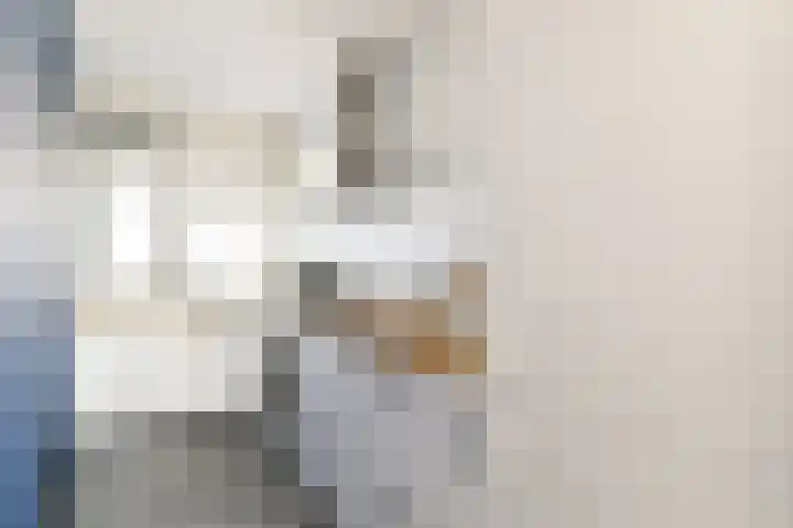 Het Hoogt 164 Amsterdam thumbnail 9