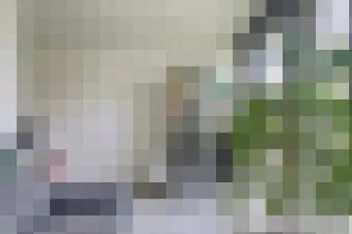 Het Hoogt 18 Amsterdam thumbnail 13