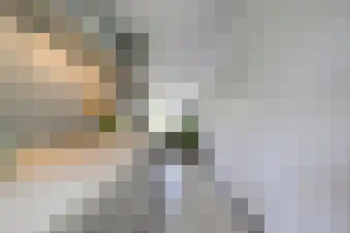 Het Hoogt 18 Amsterdam thumbnail 14