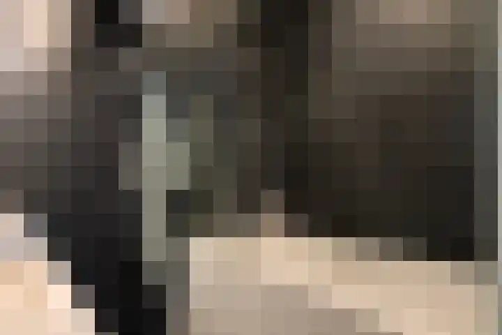 Het Hoogt 18 Amsterdam thumbnail 21