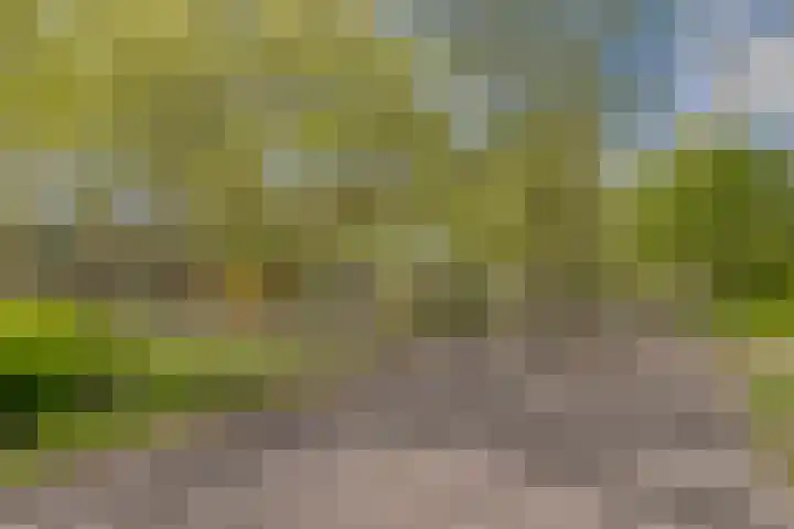 Het Hoogt 18 Amsterdam thumbnail 34