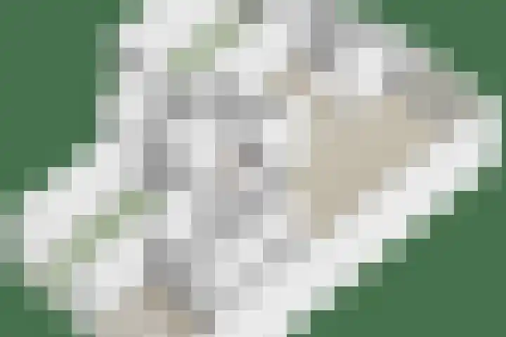 Het Hoogt 18 Amsterdam thumbnail 39