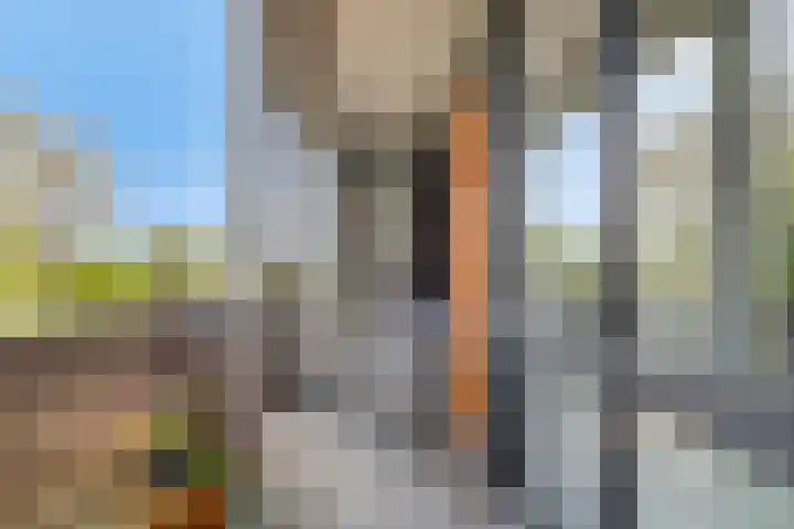 Het Hoogt 18 Amsterdam thumbnail 8