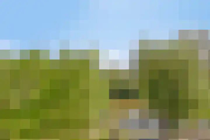 Het Hoogt 18 Amsterdam thumbnail 9